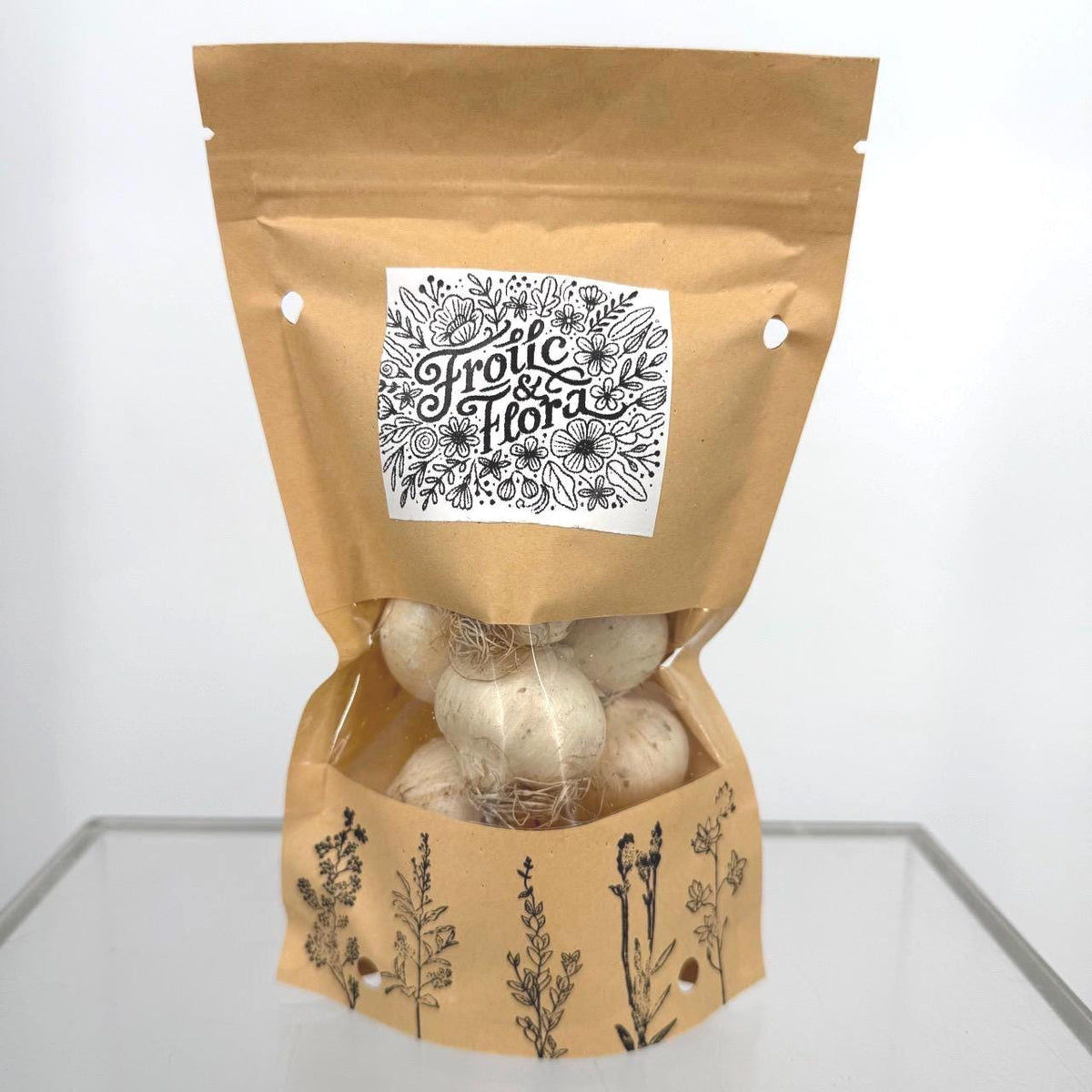 Allium Nigrum Bulbs - 20 Bulbs