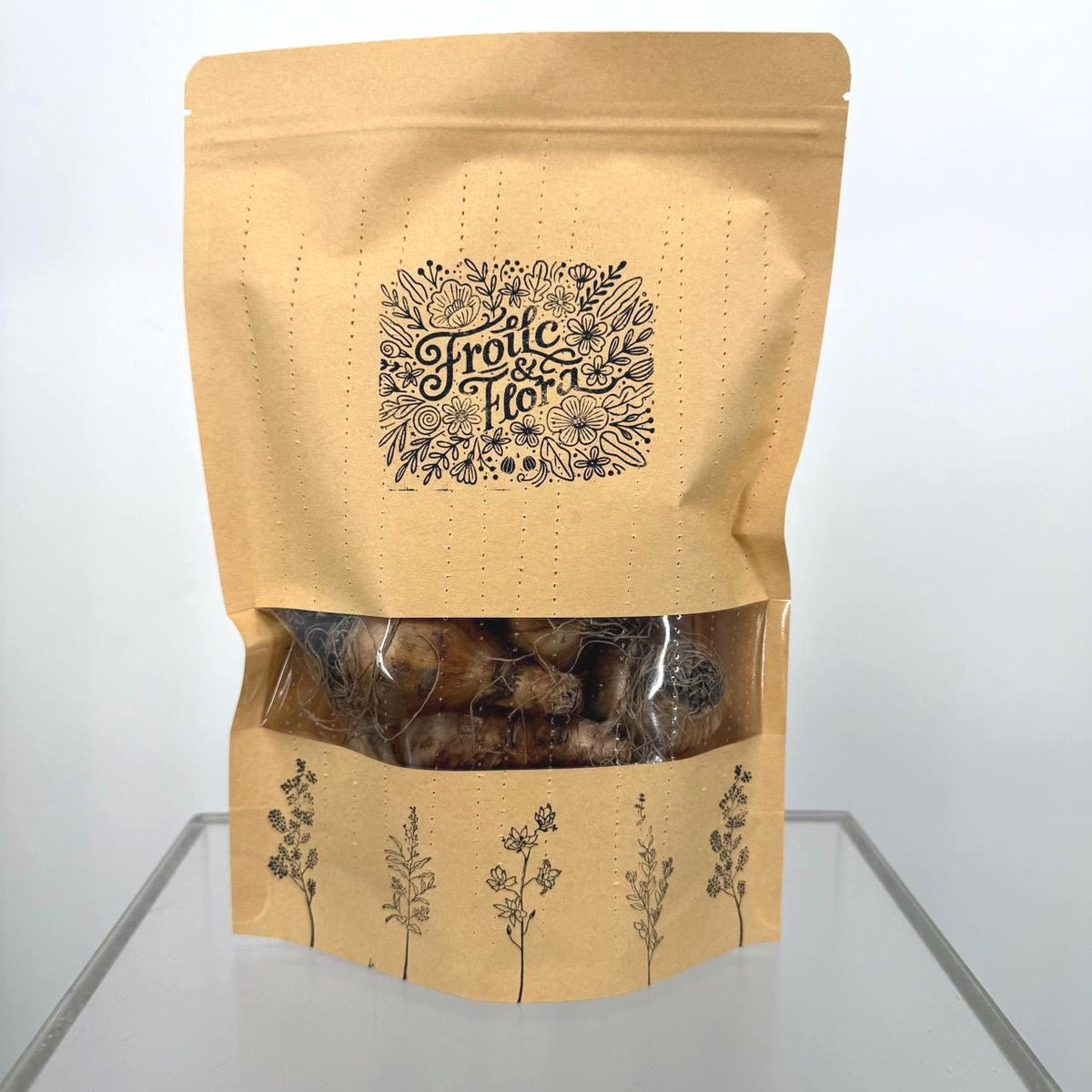 Dutch Master Daffodil Bulbs – 35 Bulbs