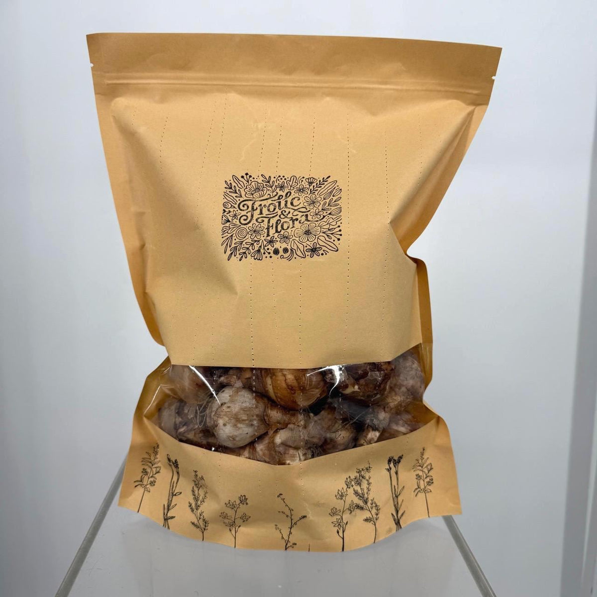Daffodil Bulb Mix – 35 Pack Bulbs